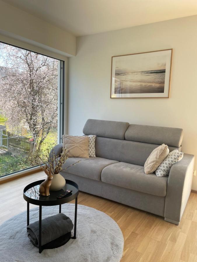 Luxury - Apartment Mit Balkon In Seenaehe กมุนเดน ภายนอก รูปภาพ